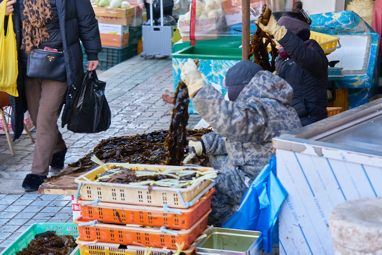 속초 시장 3.jpg