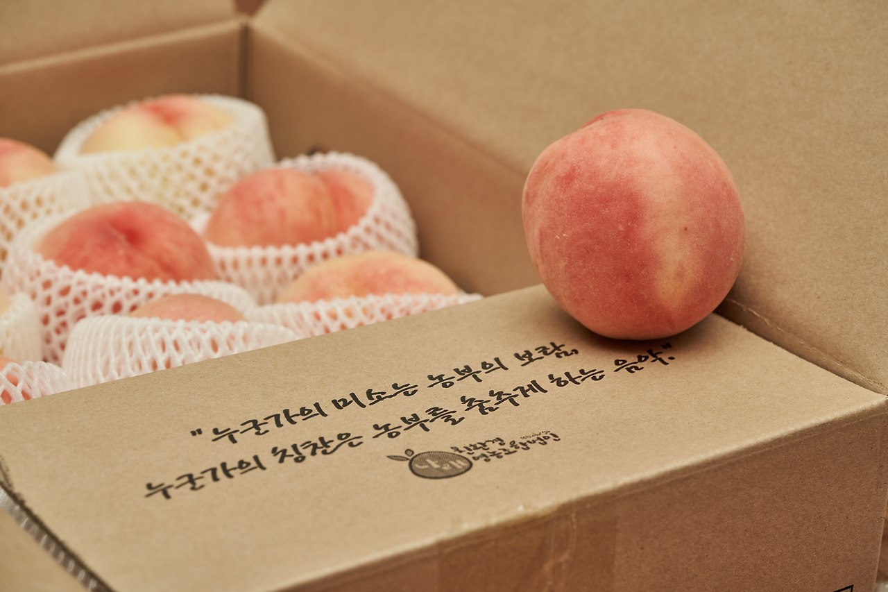 영덕_복숭아 3.jpg