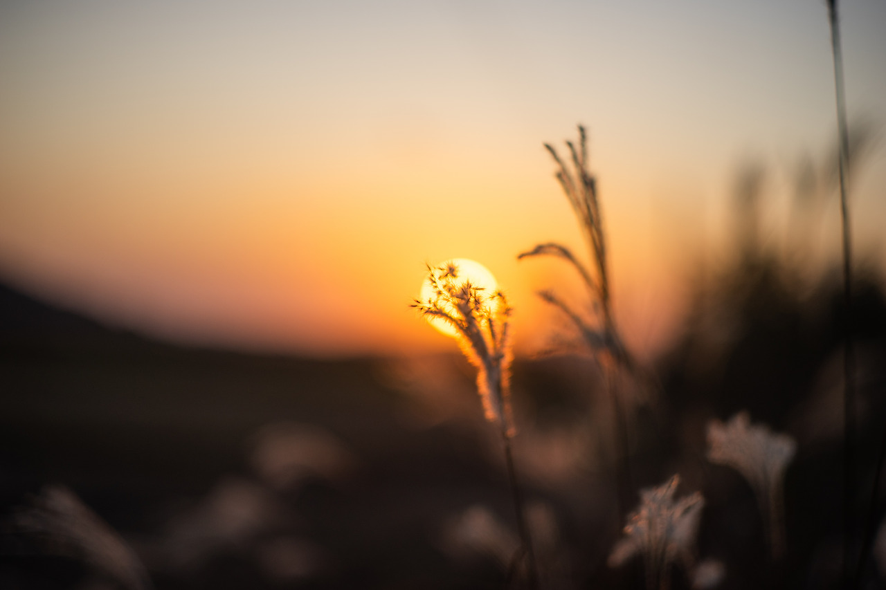 풍경_가을 (2).jpg