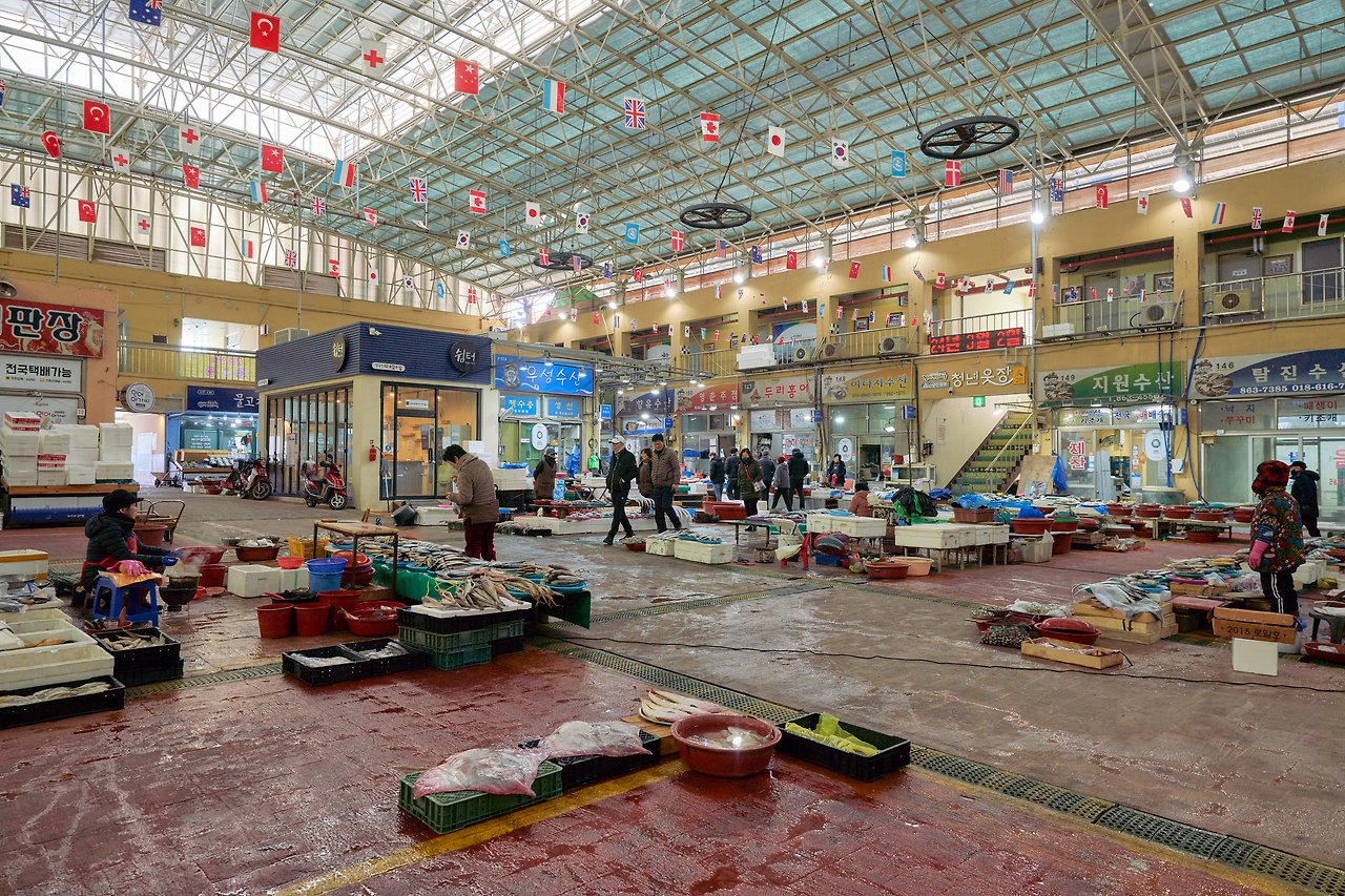 장흥 3.jpg