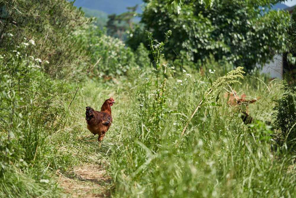 오일장4 8.jpg