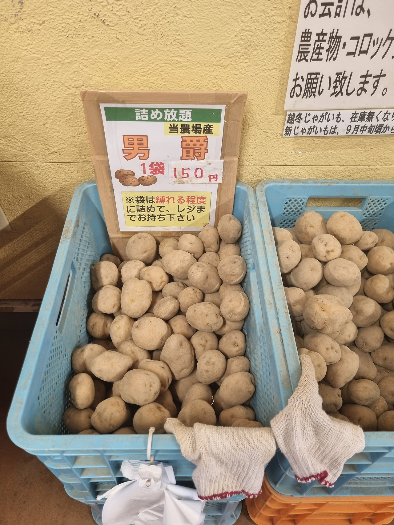 남작 훗카이도.jpg