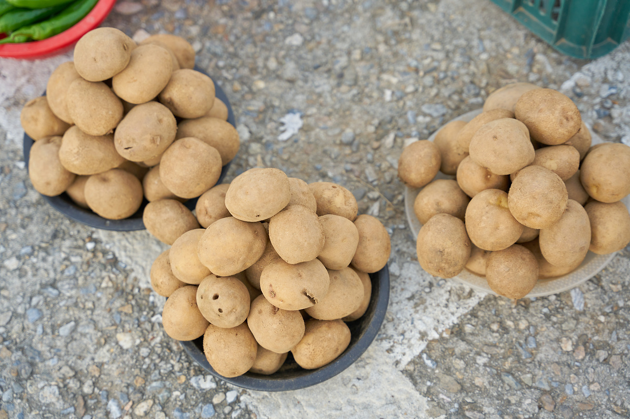 강릉 새벽시장.jpg