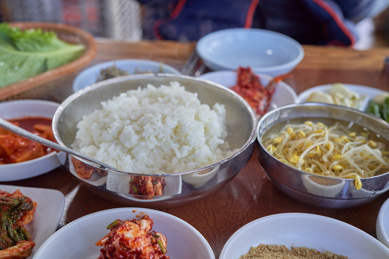 강진 배진강 1.jpg