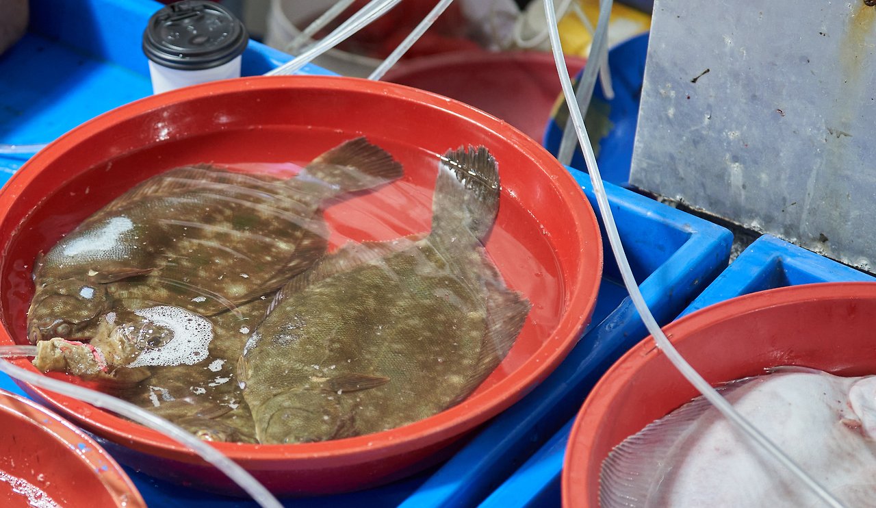 남해 문치.jpg