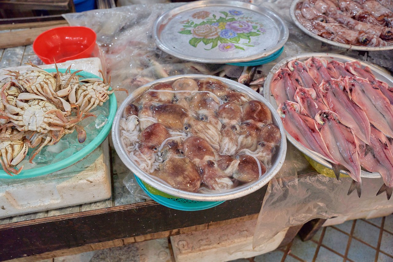 귀오징어 2.jpg