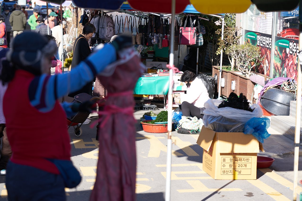 장흥 1.jpg