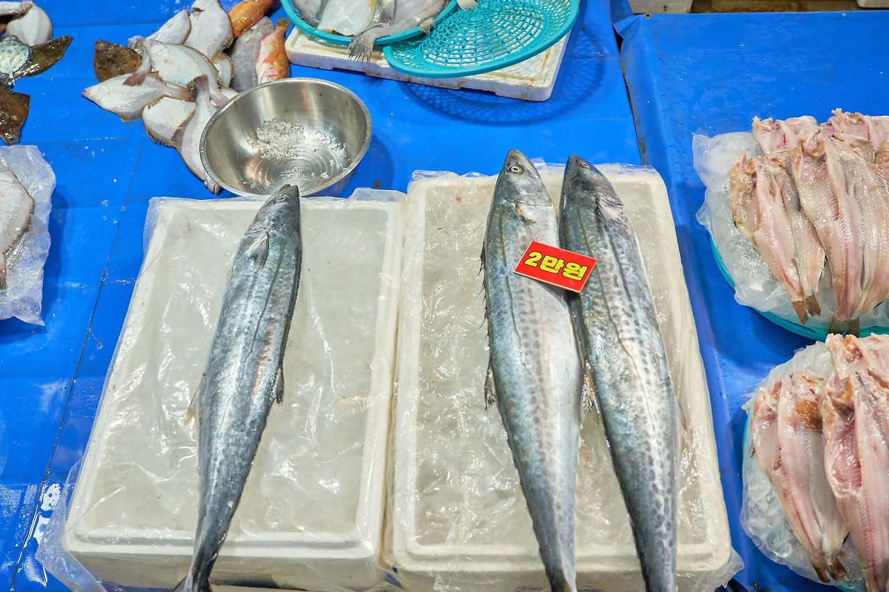 강릉양양 13.jpg