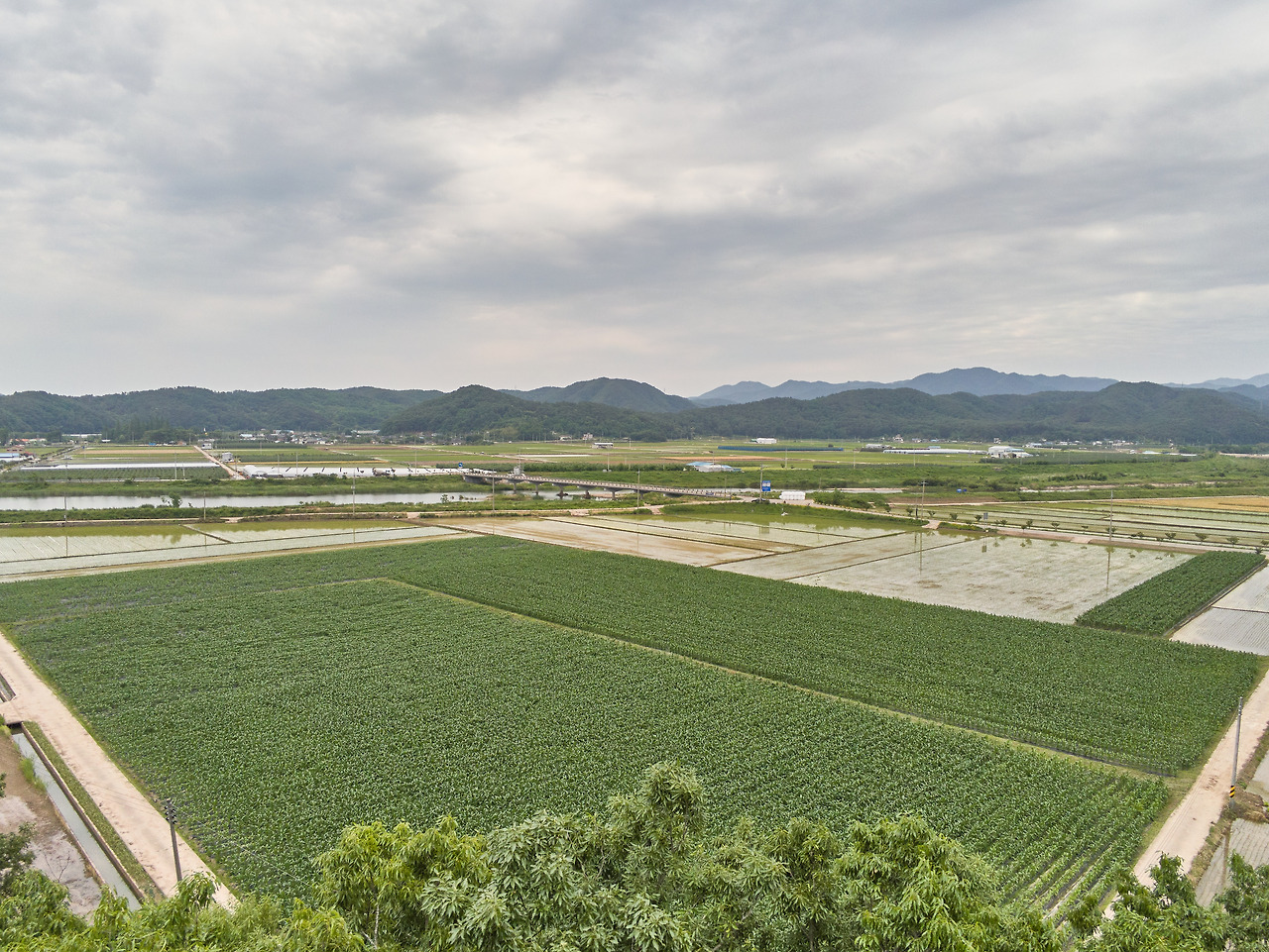 영덕 유기농 2.jpg