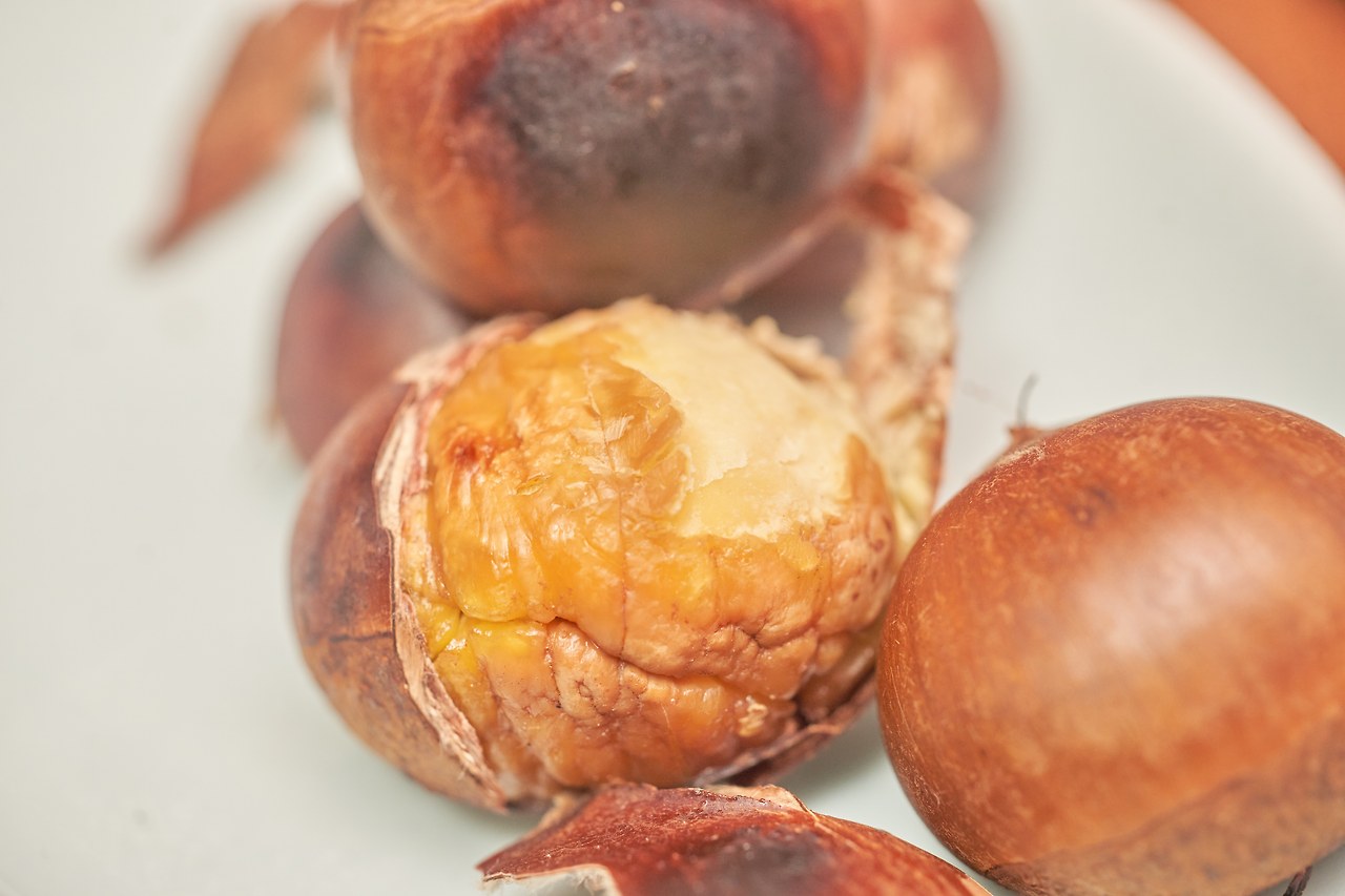 군밤 1.jpg