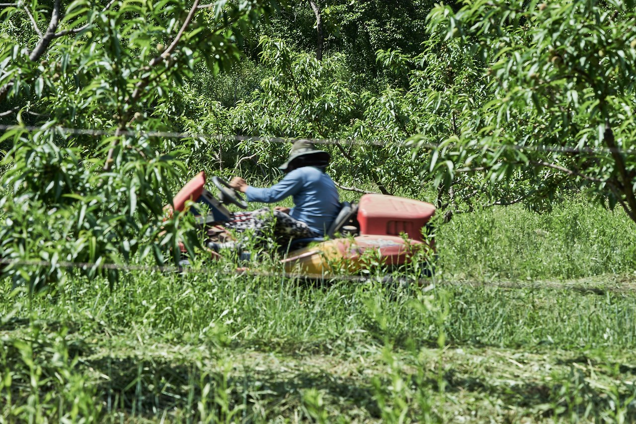 정구철 1.jpg