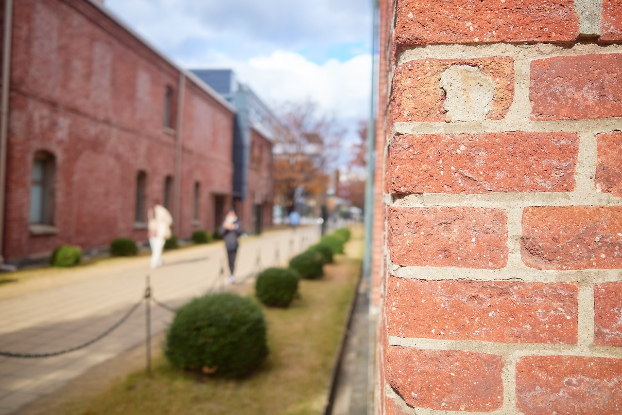 노리타 2.jpg