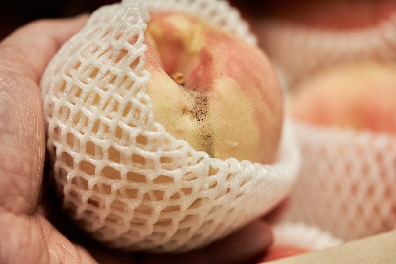 영덕_복숭아 7.jpg