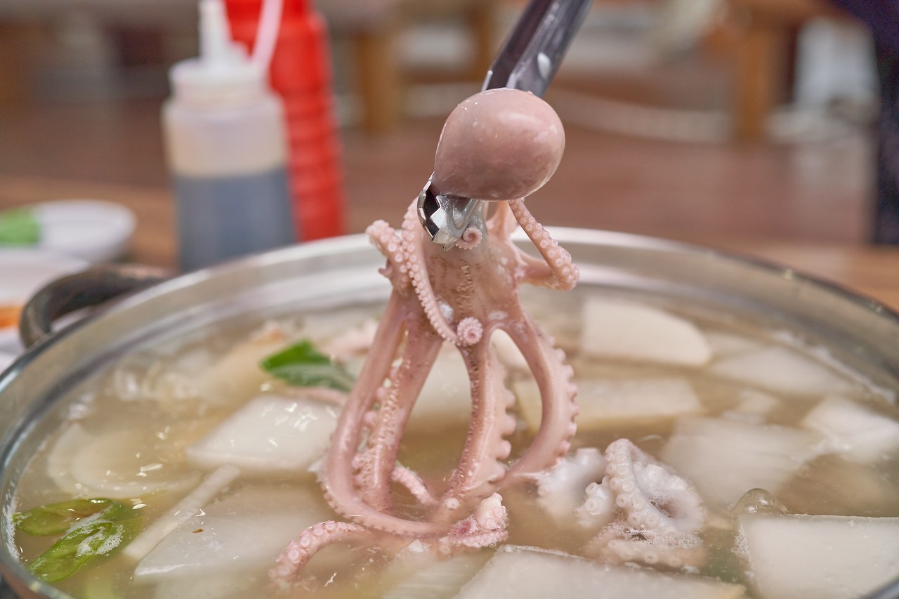 박속낙지 1.jpg