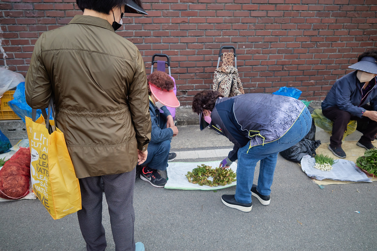 두릅 1.jpg