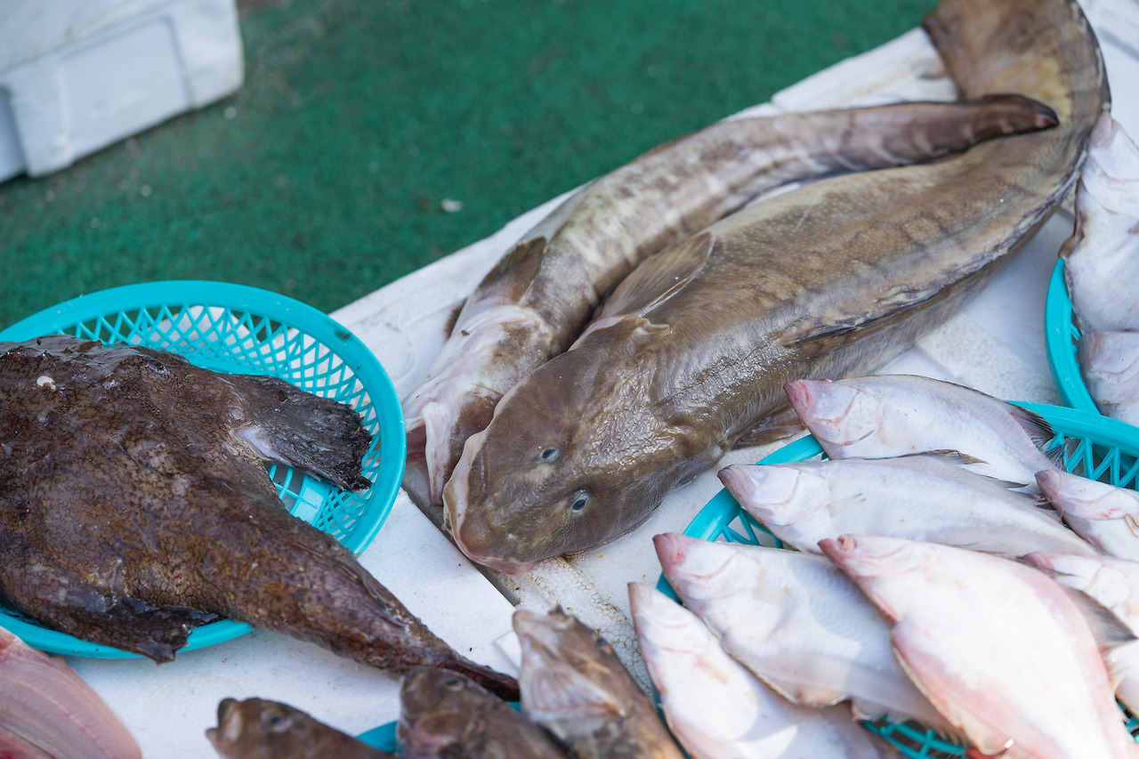 장치와 말린장치 (1).jpg