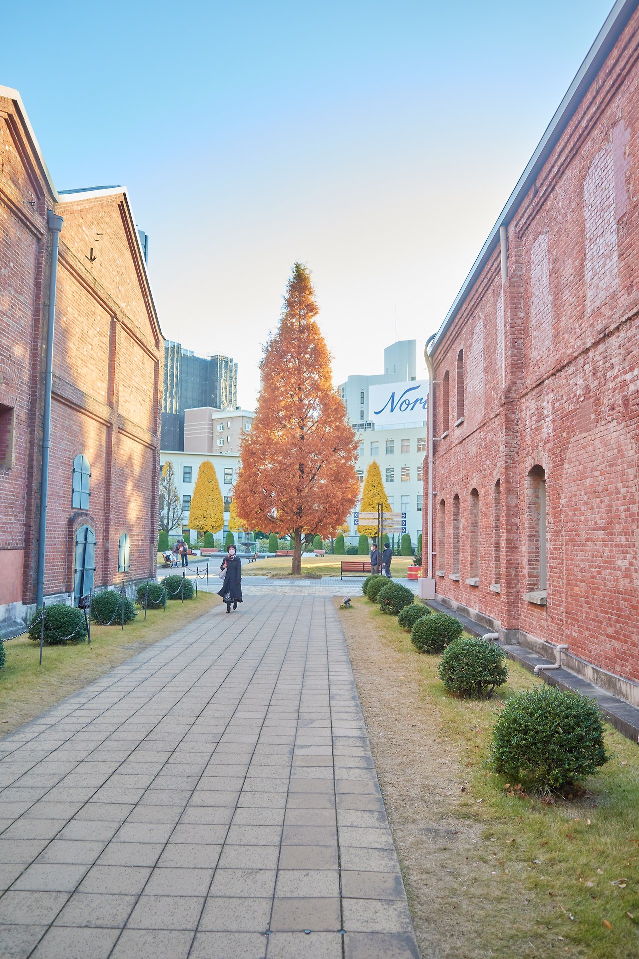 노리타 1.jpg