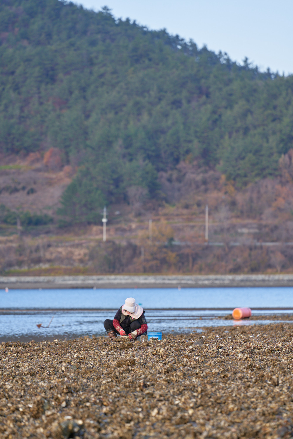 굴 대문 4.jpg