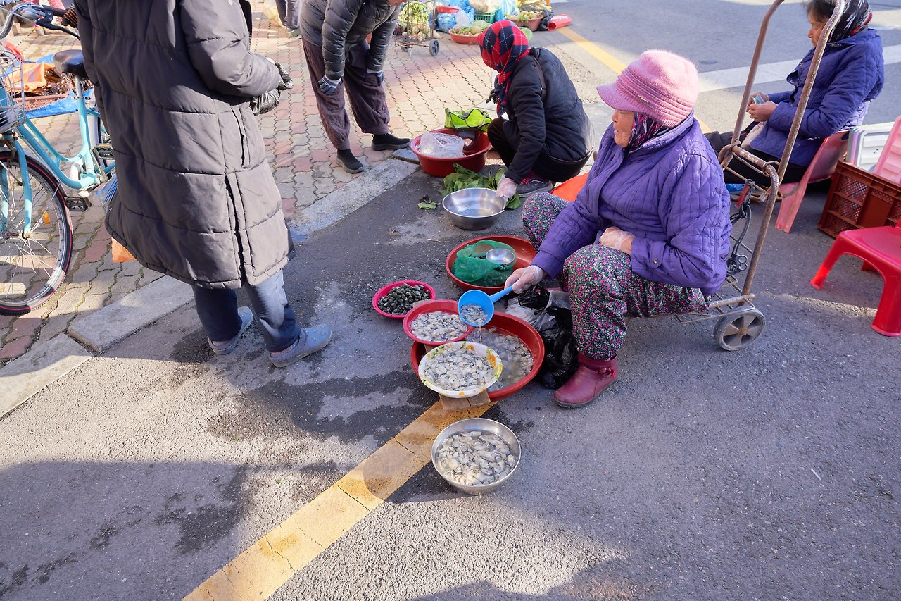 장흥 5.jpg