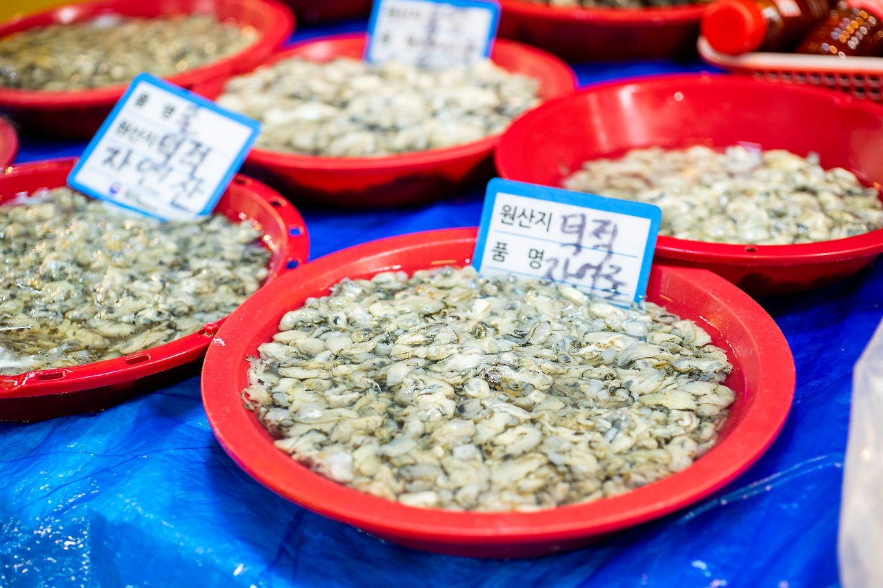 덕적도 굴_겨울.jpg