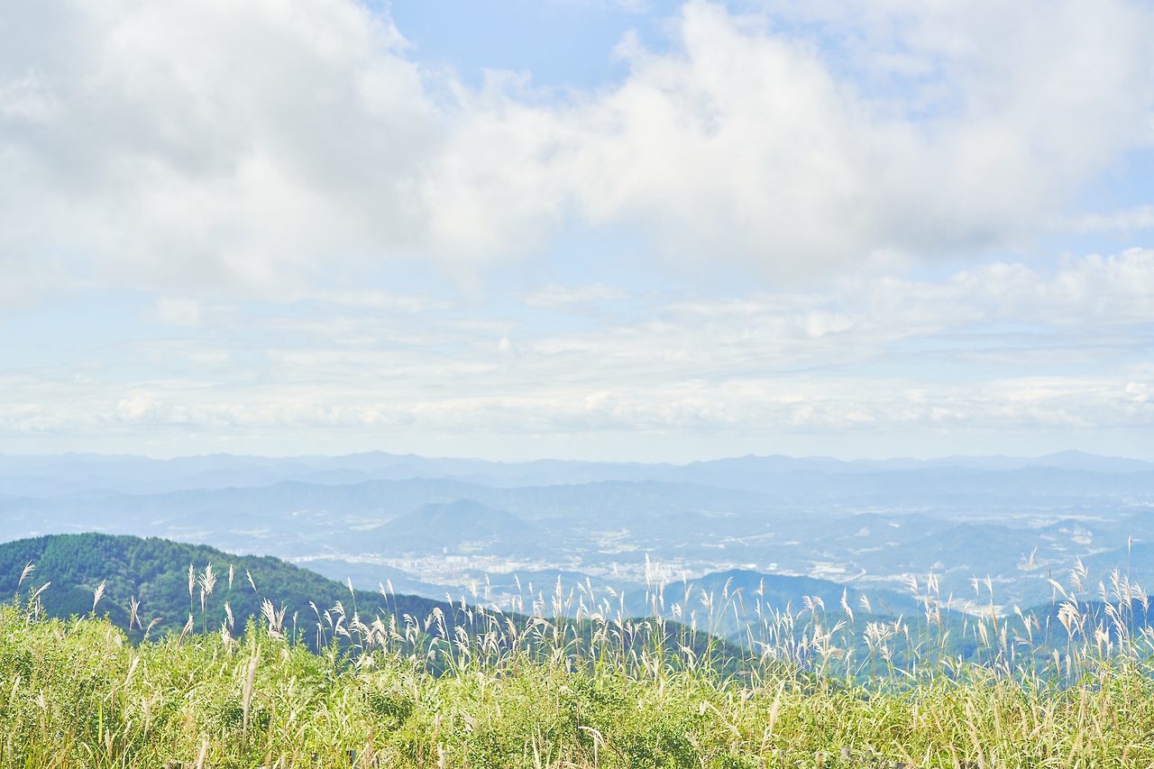 남원 5.jpg