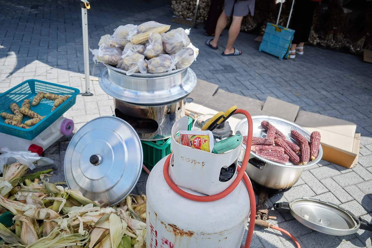 뉴수가 옥수수.jpg