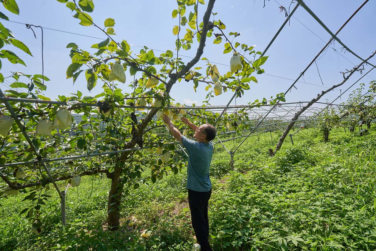 산청_유기농 6.jpg