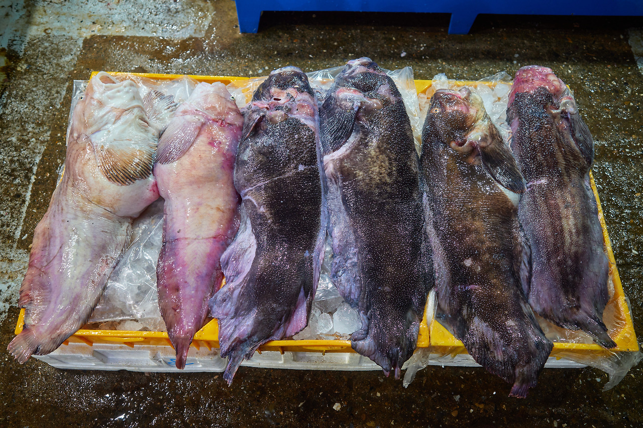 삼척 미거지.jpg