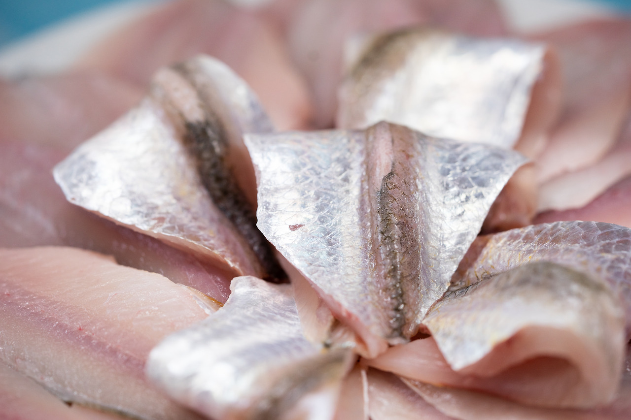 봄_강화도_밴댕이 (4).jpg