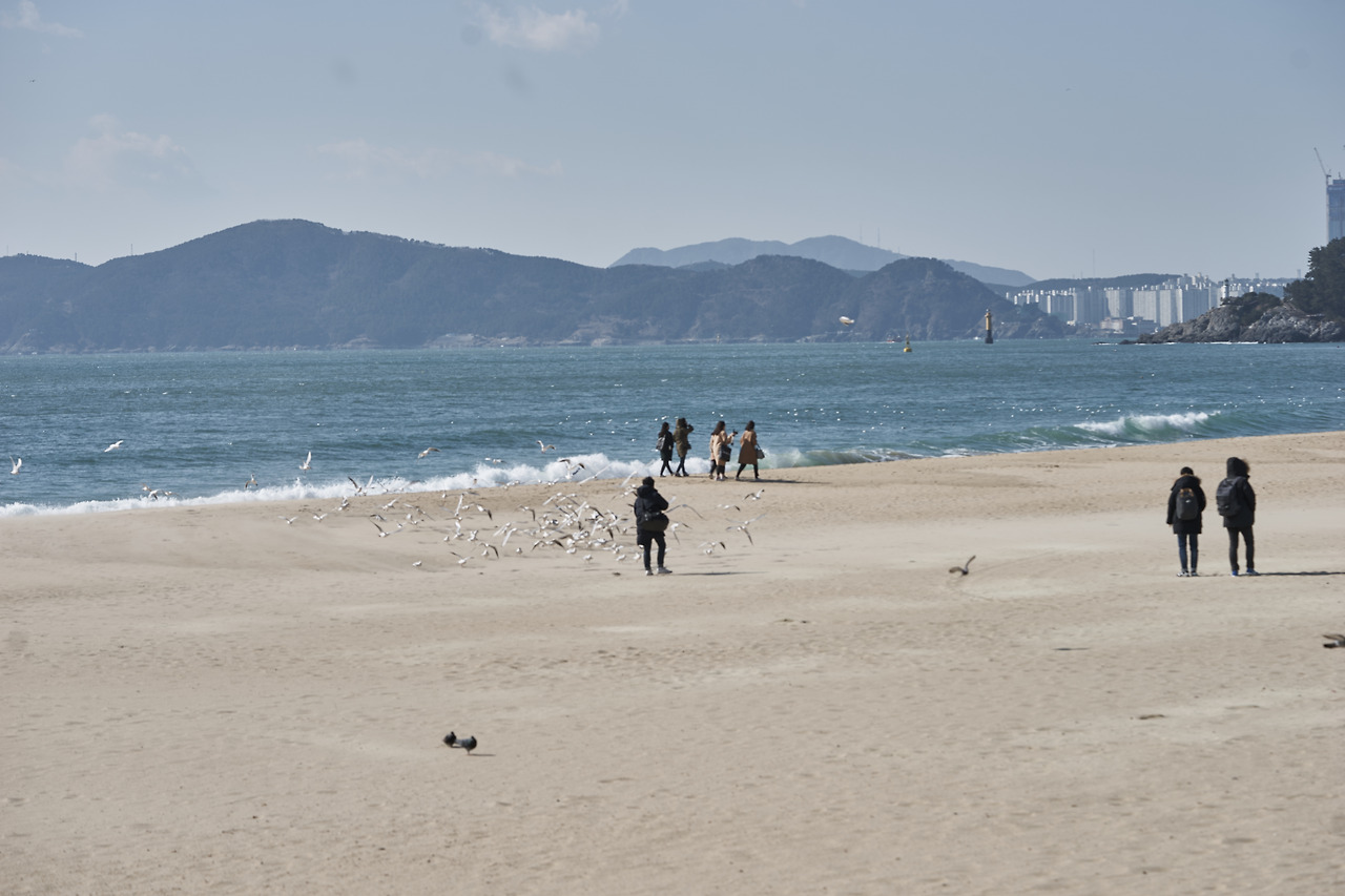 해운대.jpg
