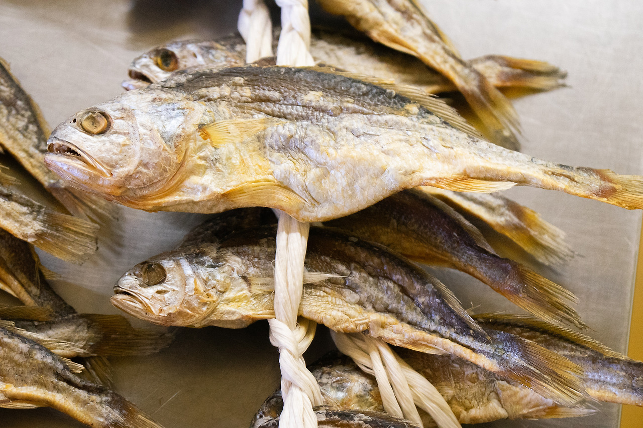 영광_부세_굴비 (1).jpg