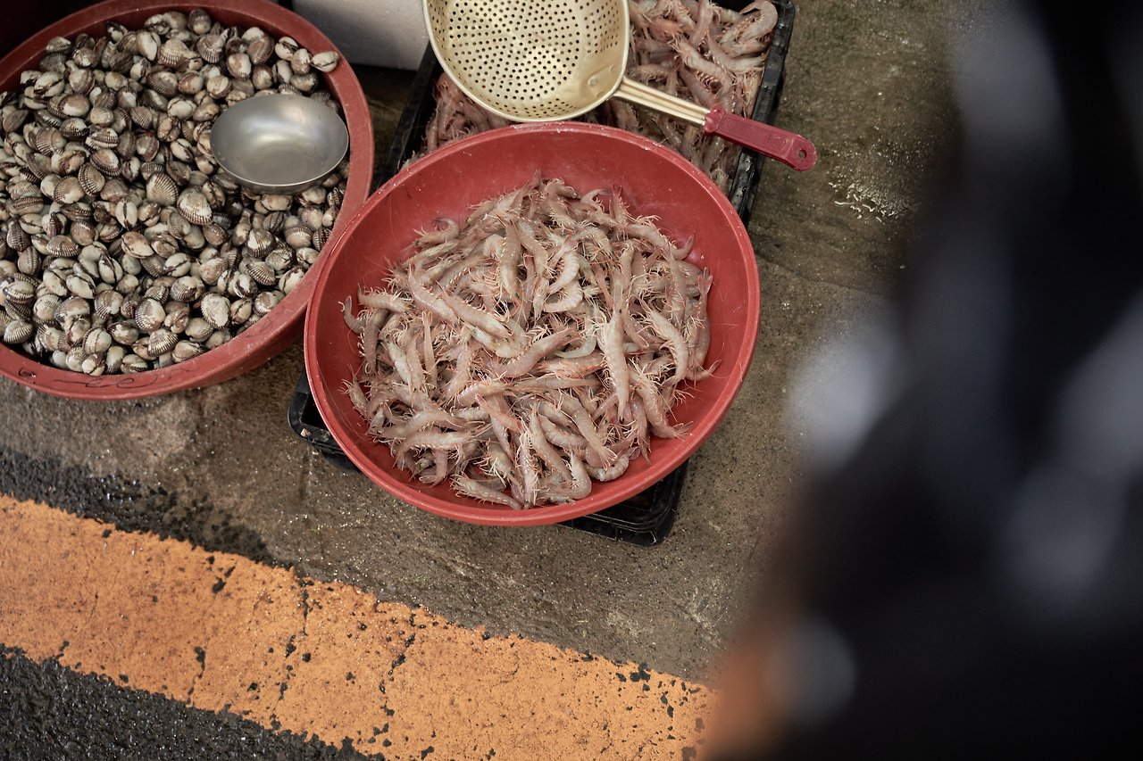 고흥장 8.jpg