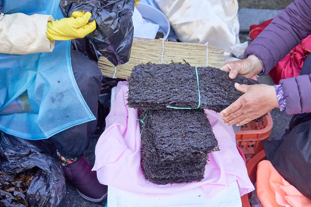 울진 3.jpg