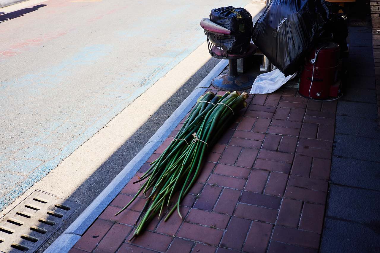 영양오일장 2024 6.jpg