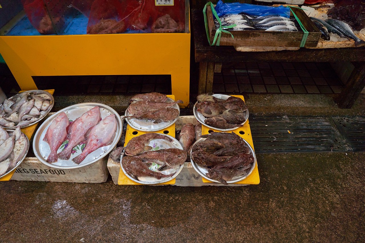 속초 시장 7.jpg