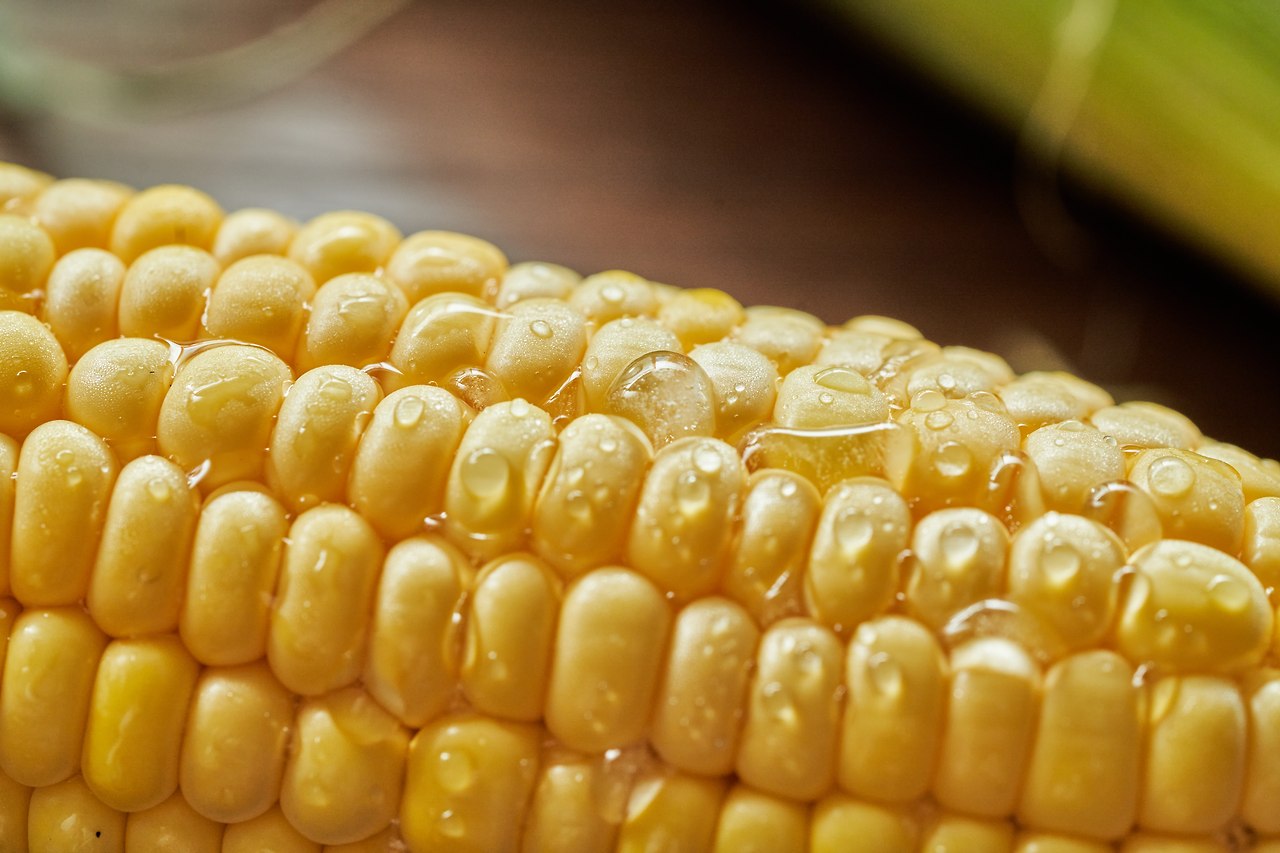 초당 9.jpg