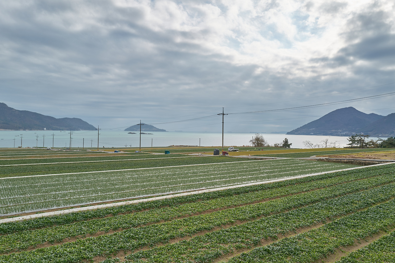 굴과 시금치.jpg