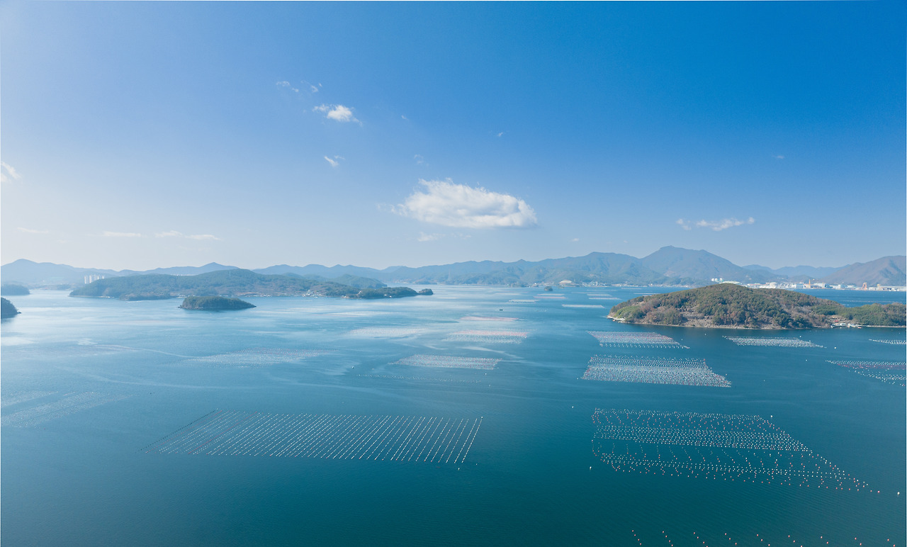 통영거제 굴.jpg