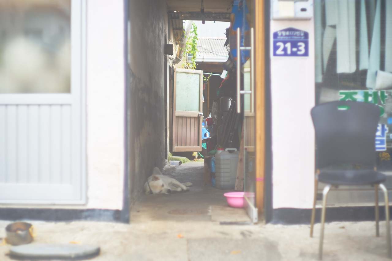 맛나로 1.jpg