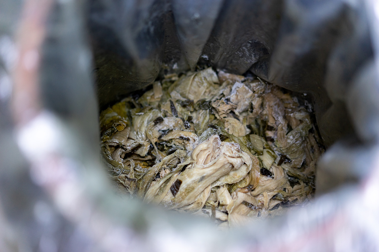 삭힌김치 (2).jpg