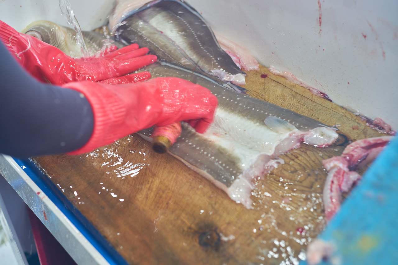 마산새벽시장 5.jpg