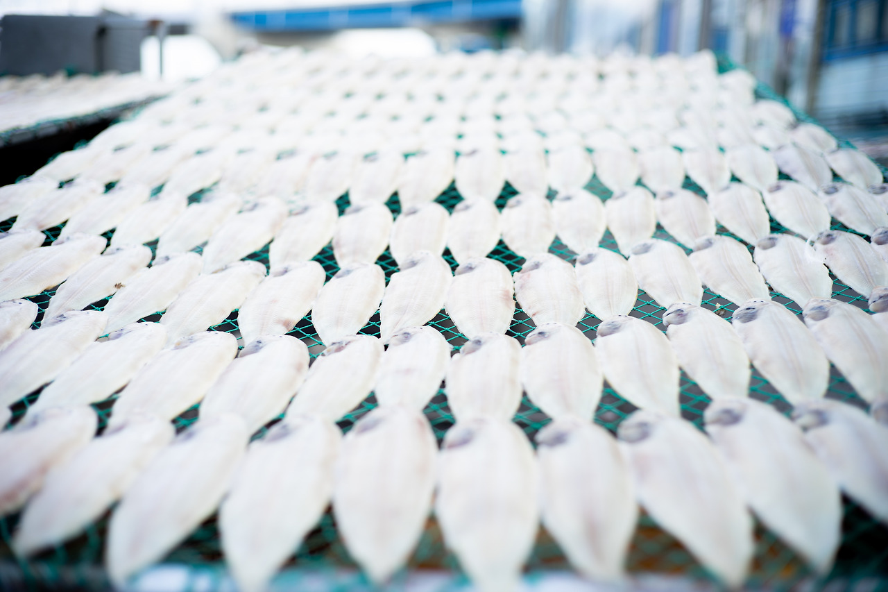 군산_어시장 박대 (1).jpg