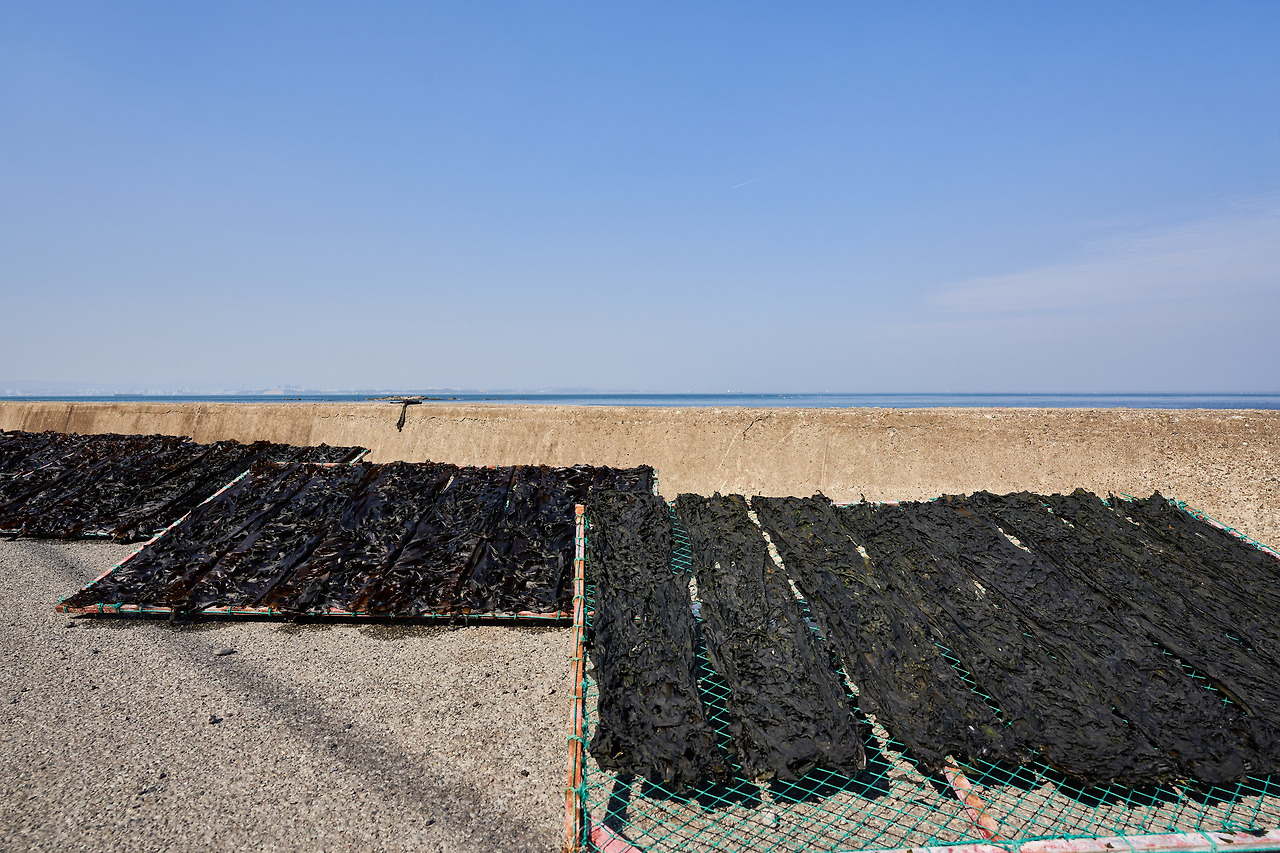 미역국 2.jpg