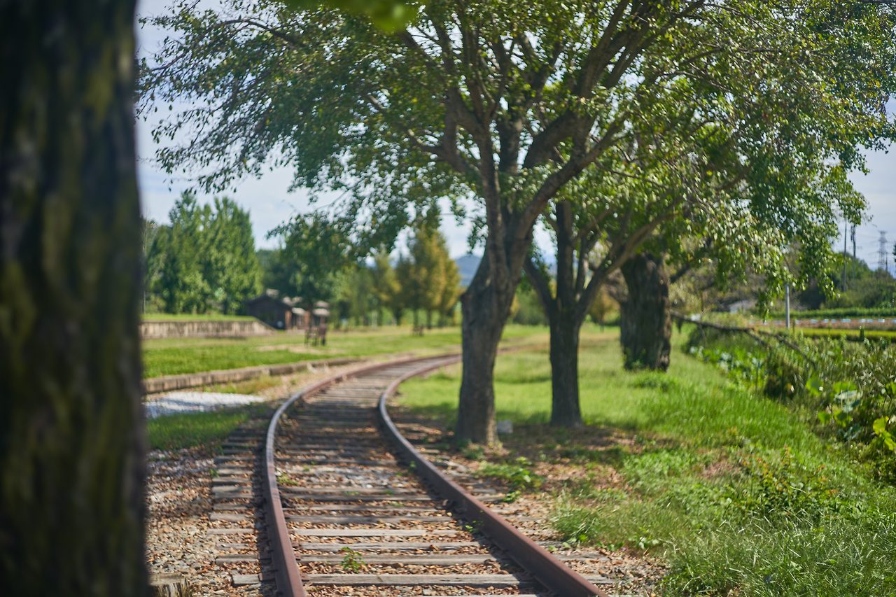 남원 서도 5.jpg