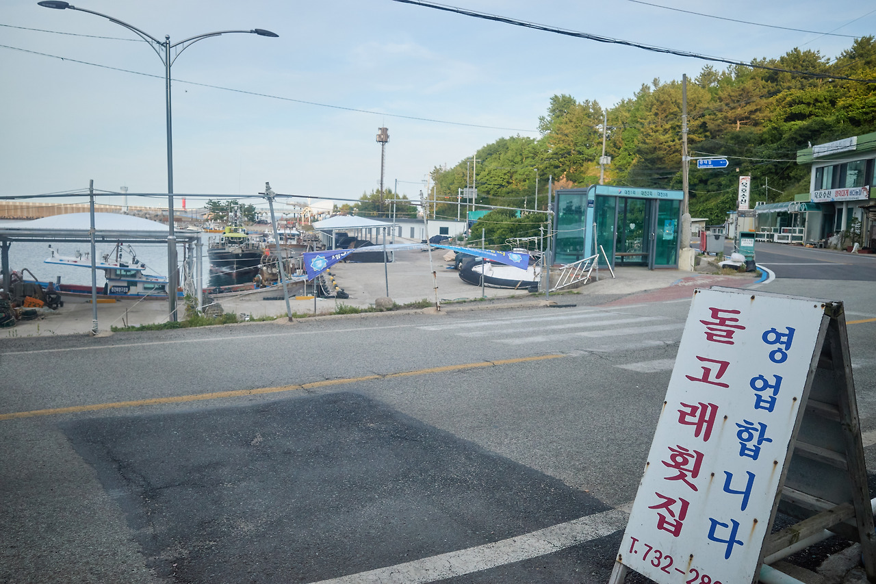 돌고래 2.jpg