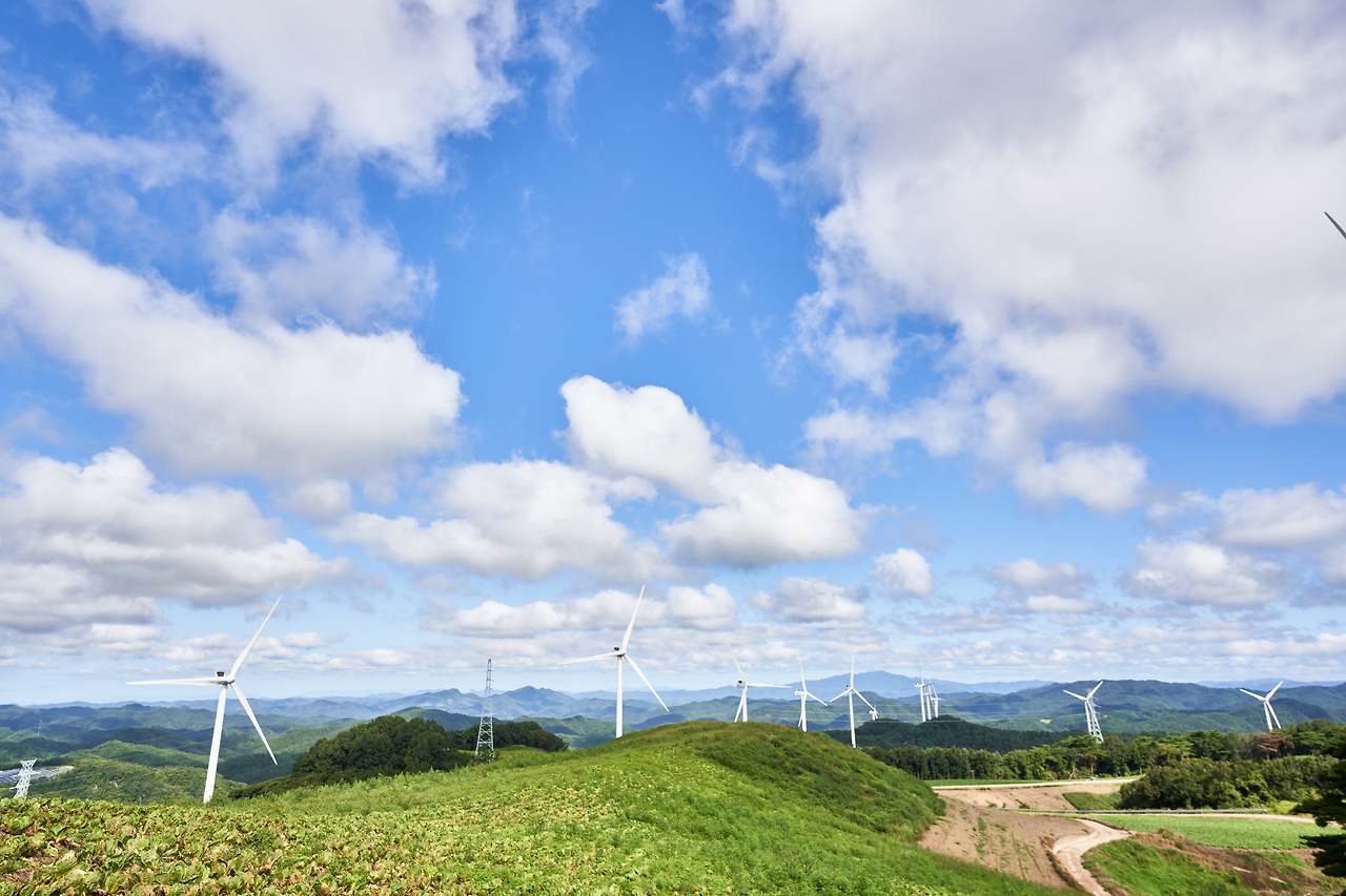 영양오일장 2024 10.jpg