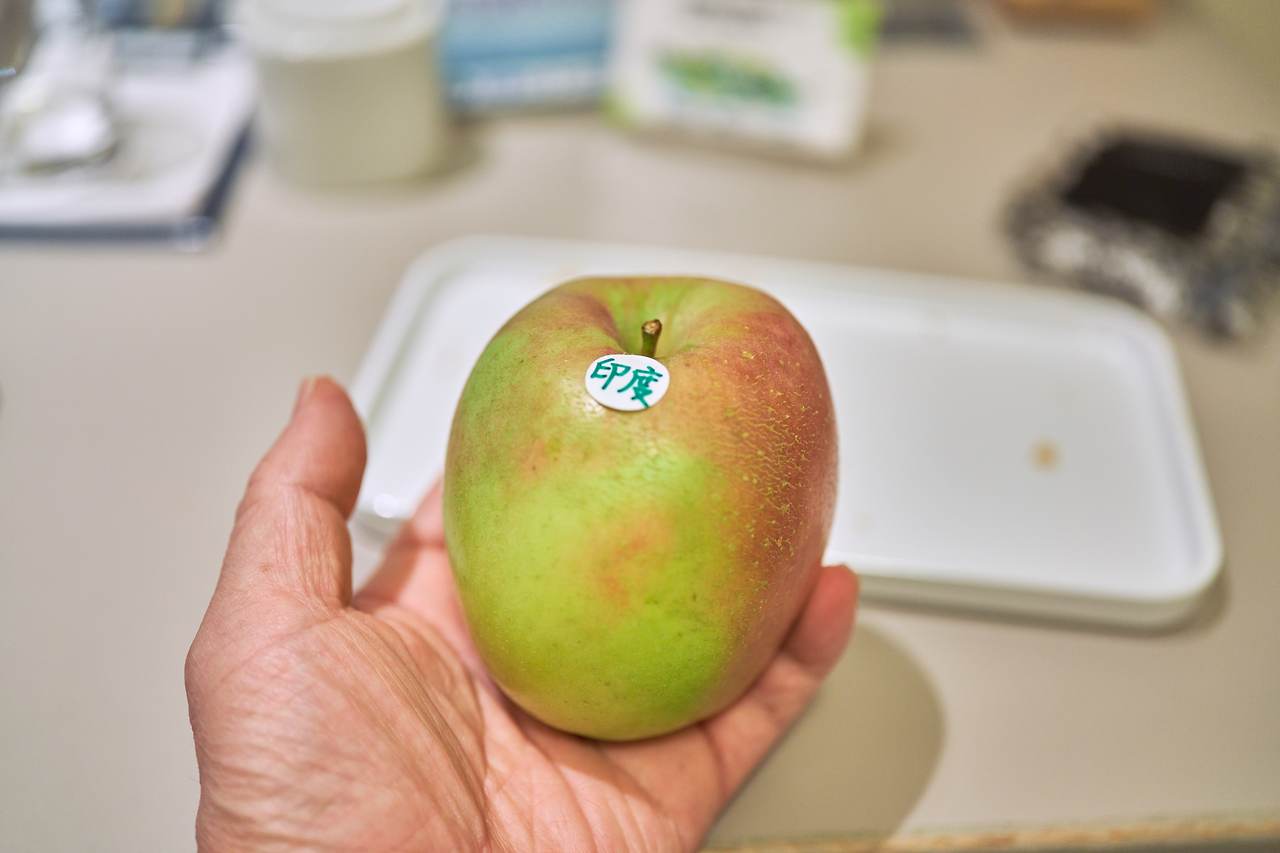 아오모리  둘째 16.jpg