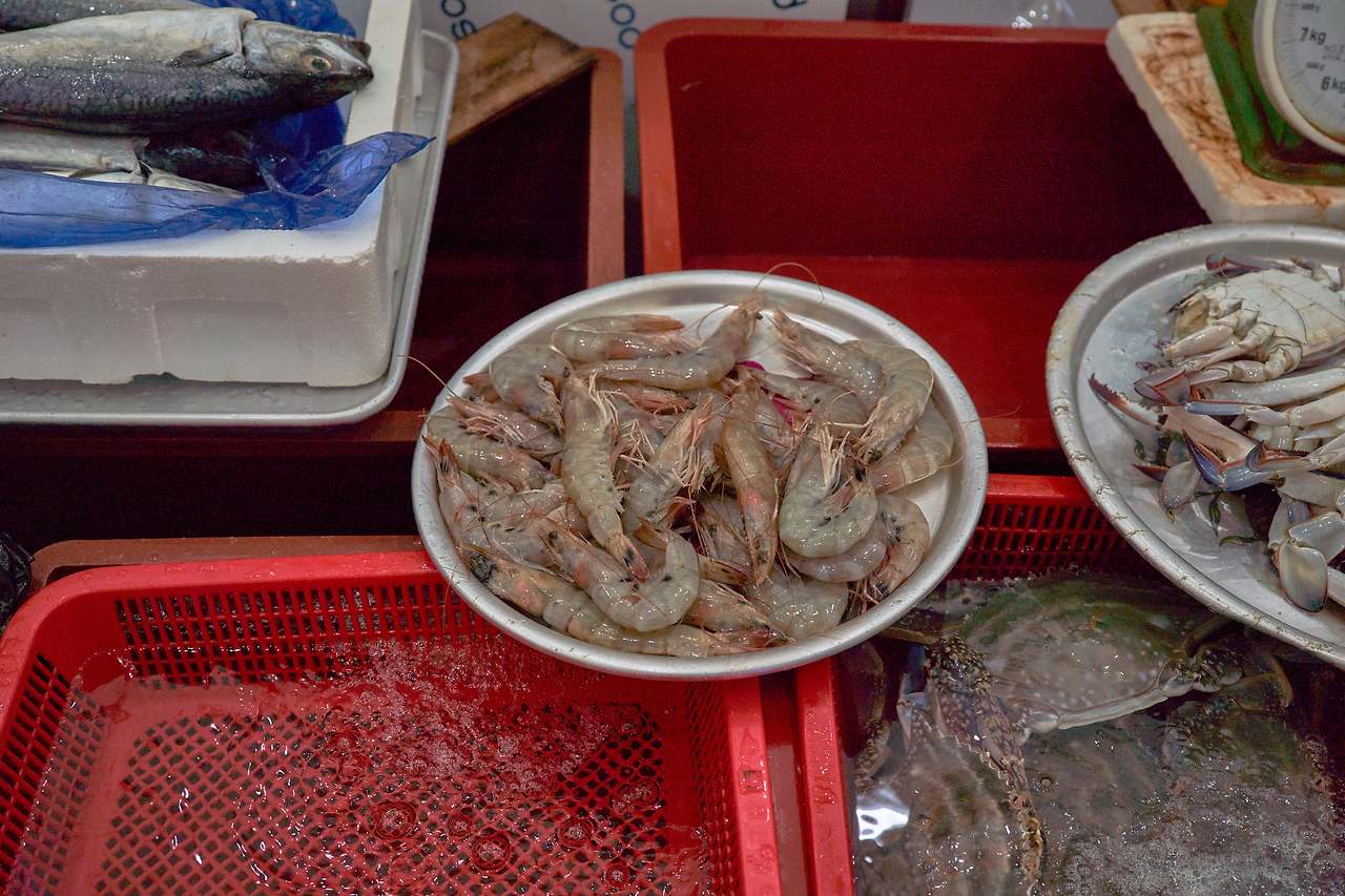 서천오일장 5.jpg