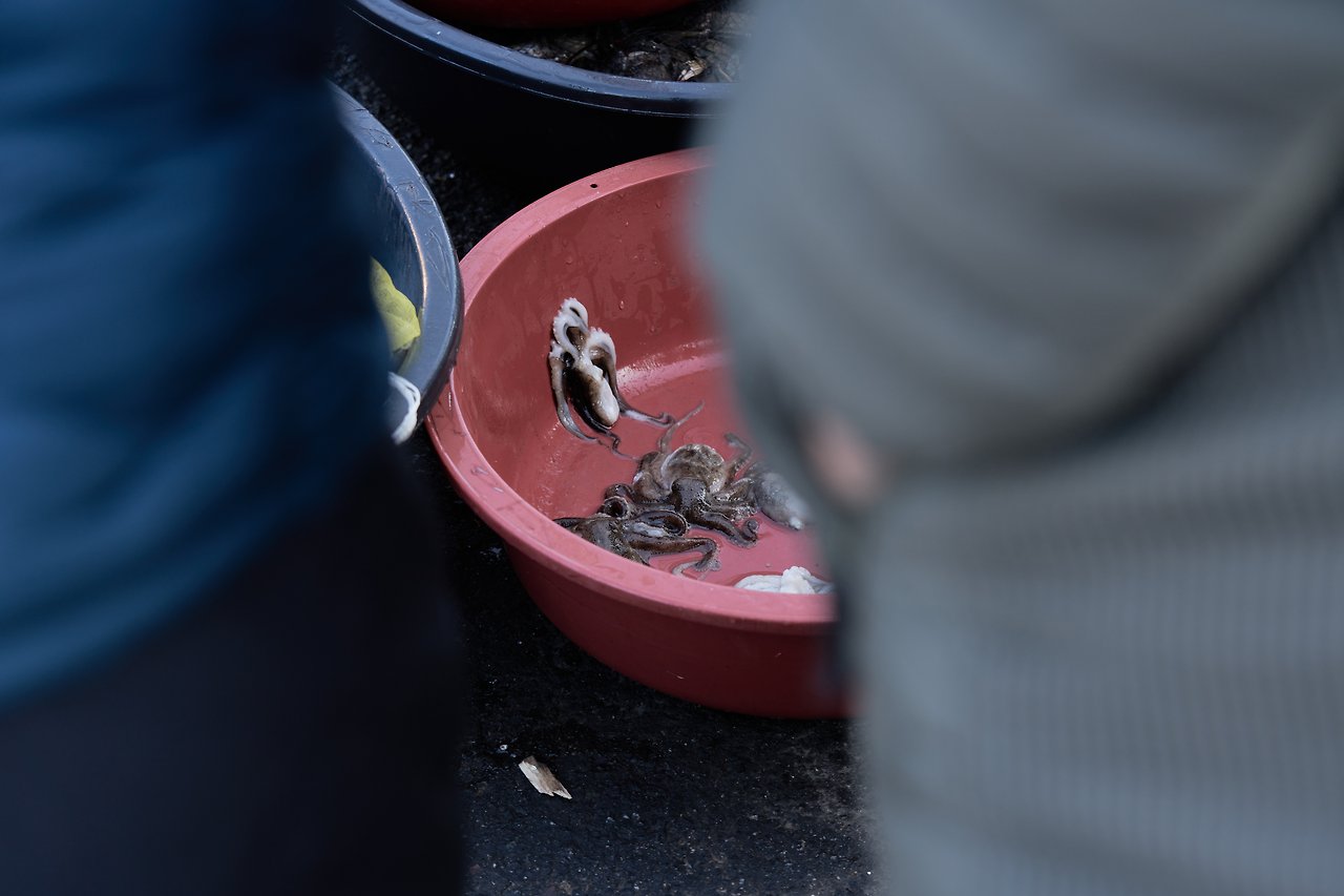 고흥장 3.jpg