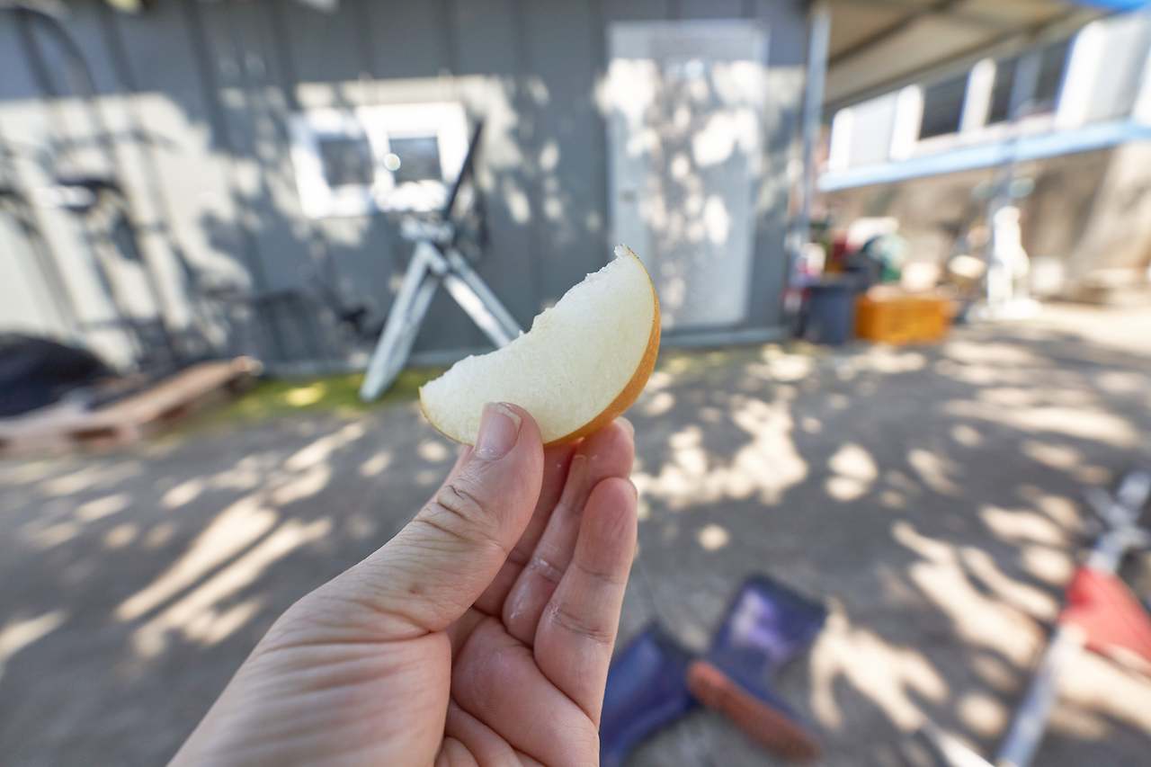 산청_유기농 4.jpg